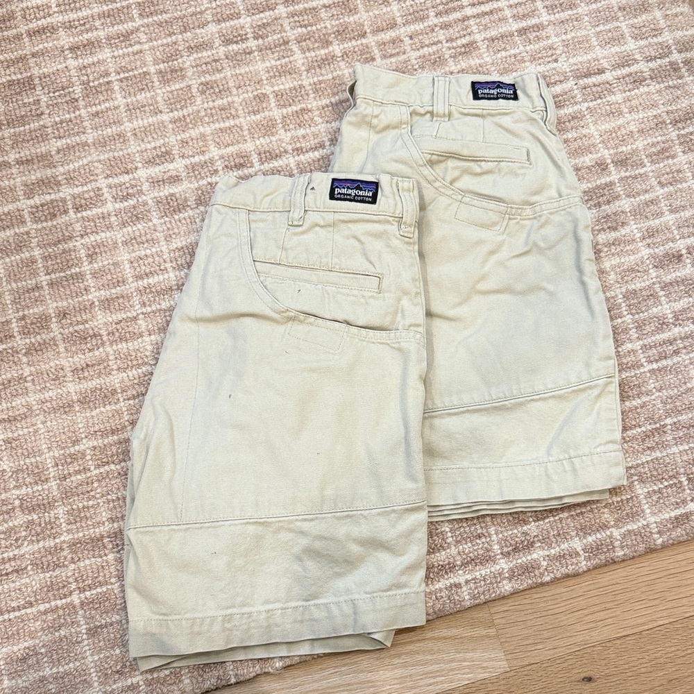 Patagonia size 30 men’s shorts